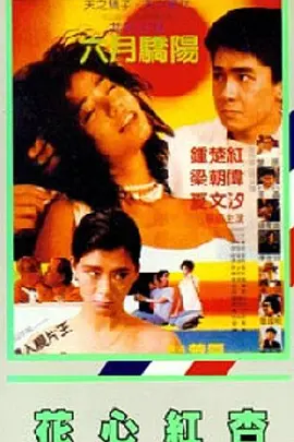 媳妇的全盛时代
